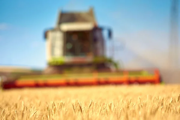 Combine Harvester Gathers Harvest Wheat Field — Stock Photo, Image