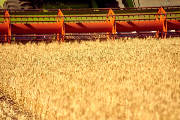 Combine Harvester Gathers Harvest Wheat Field — Stock Photo, Image
