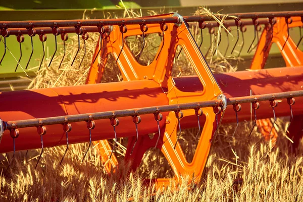 Harvester Verzamelt Oogst Tarwe Het Veld Combineren — Stockfoto