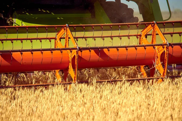 Συνδυάστε Harvester Συγκεντρώνει Συγκομιδή Σιτάρι Στο Πεδίο — Φωτογραφία Αρχείου