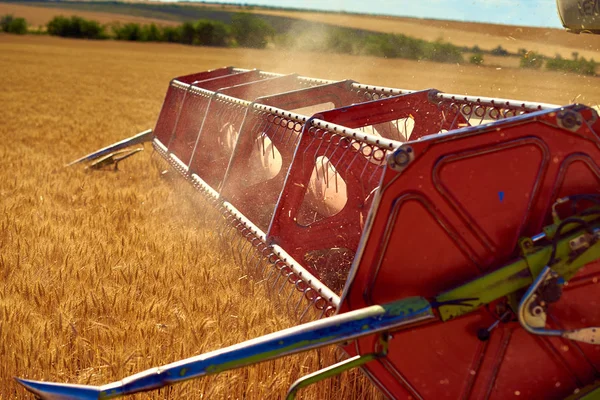 コンバインからハーベスタは小麦を収穫した後みじん切りわらを飛ぶ — ストック写真