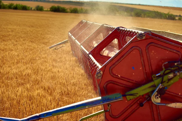 Combine Harvester Flies Chopped Straw Harvesting Wheat — Stock Photo, Image