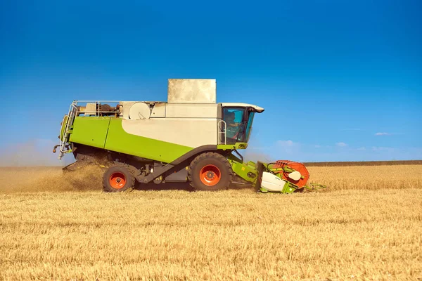 Harvester Verzamelt Oogst Tarwe Het Veld Combineren — Stockfoto