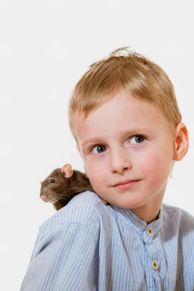 Menino Anos Com Rato Doméstico Casa — Fotografia de Stock