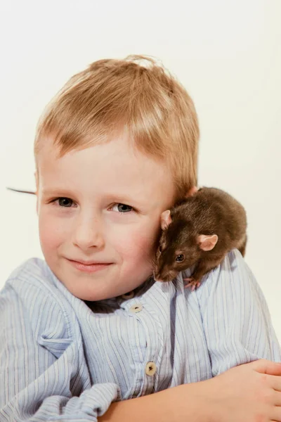 Menino Anos Com Rato Doméstico Casa — Fotografia de Stock