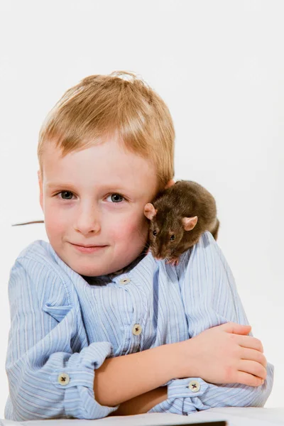 Menino Anos Com Rato Doméstico Casa — Fotografia de Stock