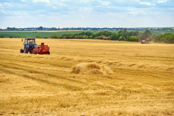 The tractor collects hay on the wheat field, after the combine.