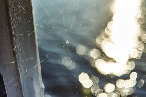 Tela Araña Antiguo Muelle Del Río — Foto de Stock