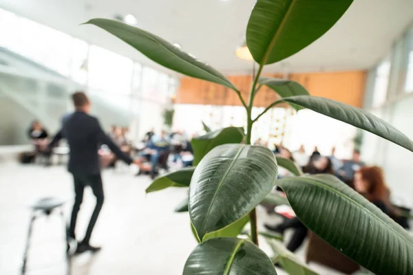 Male Professor Conducts Training Front Large Audience — Stock Photo, Image