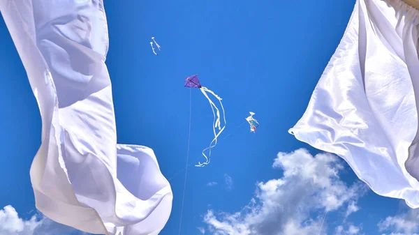 Latawiec pływające w wysokiej na błękitne niebo — Zdjęcie stockowe