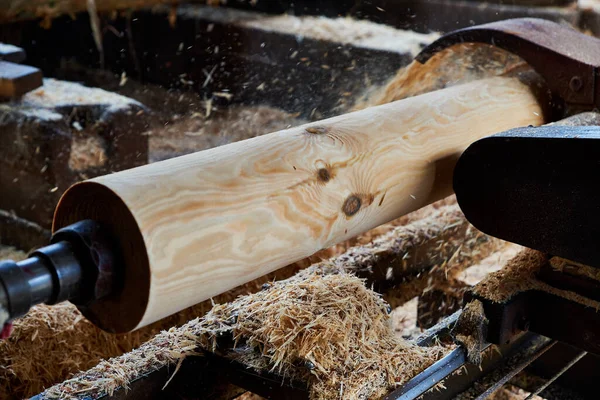 Saw Machine Cuts Bark Wooden Logs Sawmill — Stock Photo, Image
