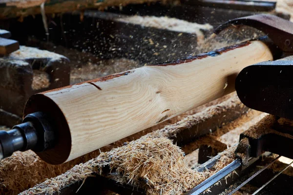 Sågmaskin Klipper Bark Från Trästockar Vid Ett Sågverk — Stockfoto