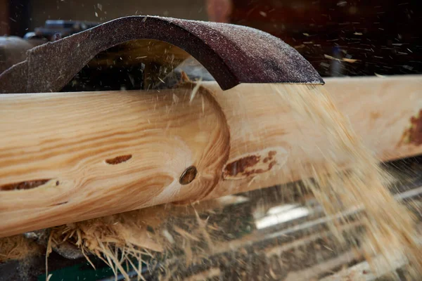 Sågmaskin Klipper Bark Från Trästockar Vid Ett Sågverk — Stockfoto