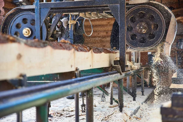 Tronco Del Árbol Sierra Una Máquina Sierra Aserradero —  Fotos de Stock