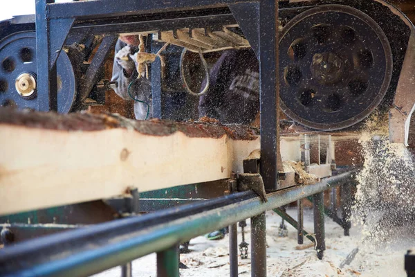 Log Árvore Serrada Uma Máquina Serra Uma Serraria — Fotografia de Stock