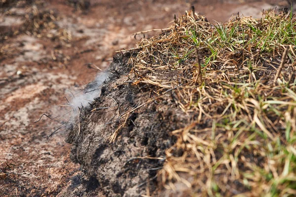 Rašelinová Pole Hoří Doutnají Odpoledne — Stock fotografie