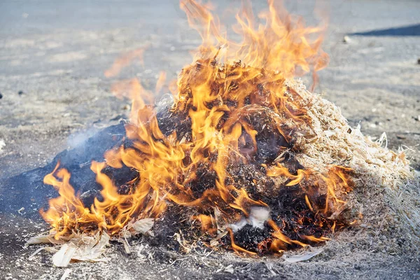 Burning Trash Heap Wood Sawdust — Stock Photo, Image