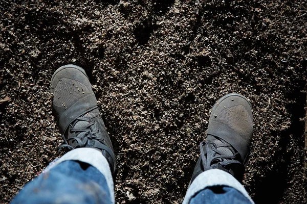 Karabuğday Kabuğunda Erkek Işçi Bacakları — Stok fotoğraf