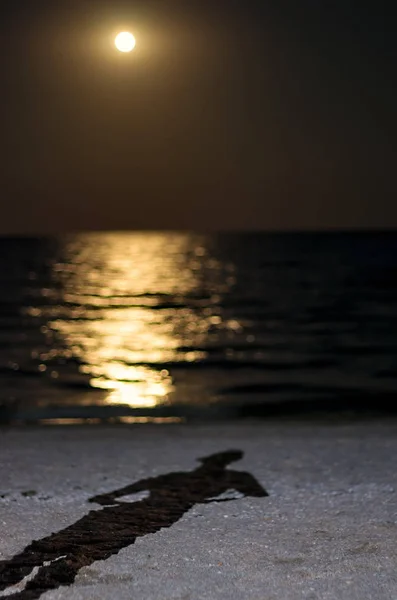 Bir adam sahilde deniz, ay ışığı gölgesi. Night Moon.