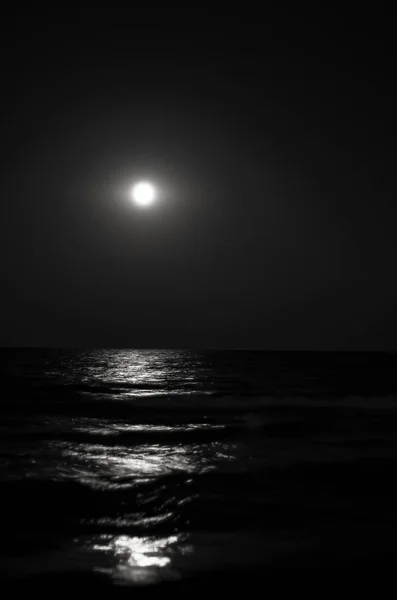 Moon Night Moonlight Waves Sea Horizon Long Exposure Black White — Stock Photo, Image