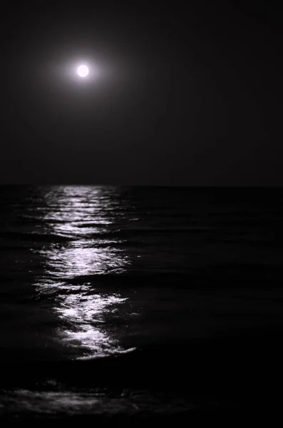 Moonlight Sea Waves Night Moon Long Exposure Black White Toning Stock Image