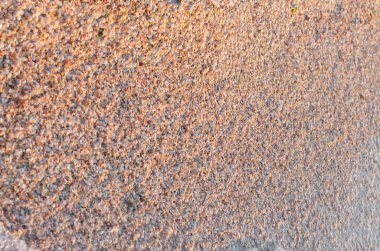 arka plan doku birçok deniz kabukları