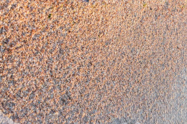 arka plan doku birçok deniz kabukları