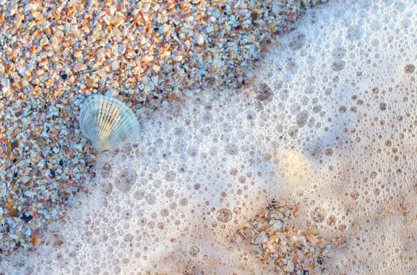 Пузыри Пена Морском Пляже Ракушка Песке — стоковое фото