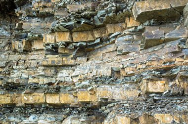 tortul kayaçlar katmanlı. Karpatlar Ukrayna