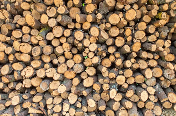 Firewood Stacked Circular Shape Close Background — Stock Photo, Image