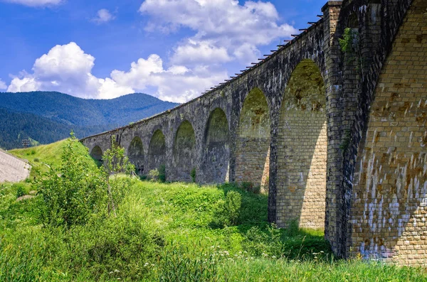 Demiryolu viyadük bir arka plan Dağları'nın eski köprüde. Vorokhta Ukrayna Karpatlar