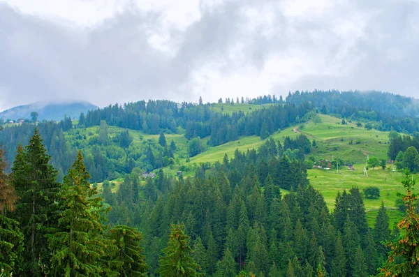 View Houses Forest Mountains Carpathians Ukraine — Stock Photo, Image