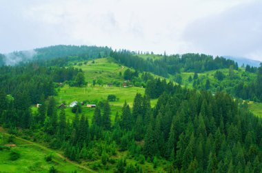 yukarıdan evleri ve orman dağlarda, Karpatlar Ukrayna görüntüleyin