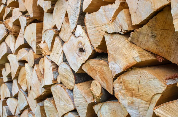 Pine Firewood Folded Close — Stock Photo, Image