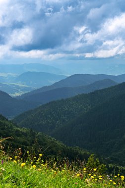 Dağ yamaçları, çayır yükseklikten manzara. Karpatlar Ukrayna.