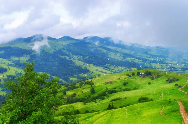yamaçlar güzel dağ manzarası. Ukrayna Karpatlar