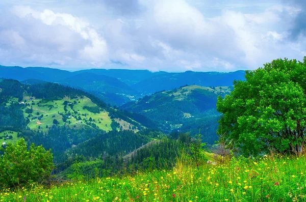 Гірських Схилах Карпат Красивих Природних Ландшафтів Україна — стокове фото