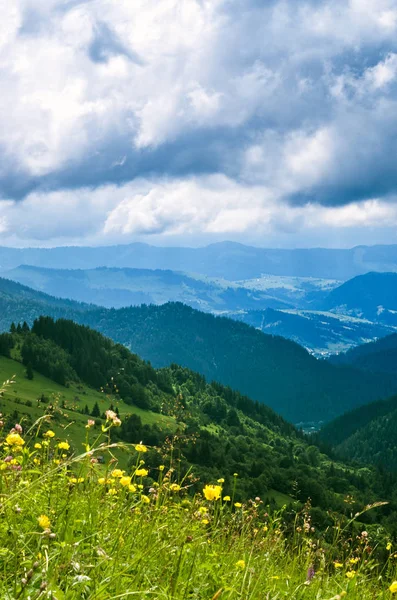 Dağ yamaçları, çayır yükseklikten manzara. Karpatlar Ukrayna.