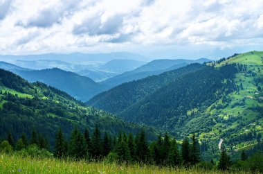 dağ yamaçları, yazın ağaçlar, yükseklikten görünüm