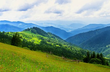 dağlarda çayır, yamaçlar, yaz aylarında büyüyen ağaçlar