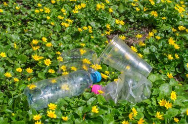 atılan plastik şişe ler ve sarı çiçeklerle çim ambalaj
