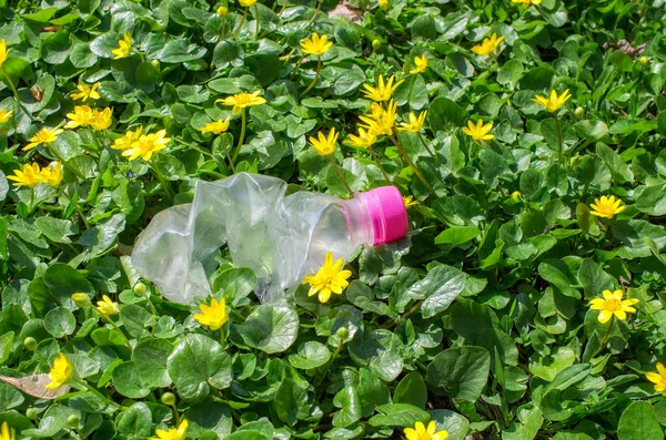 Botella Plástico Desechado Hierba Con Flores Amarillas — Foto de Stock