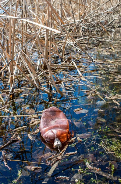 Выброшенная Пластиковая Бутылка Речной Воде — стоковое фото