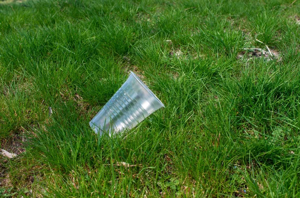 Taza Plástico Desechado Hierba Verde — Foto de Stock