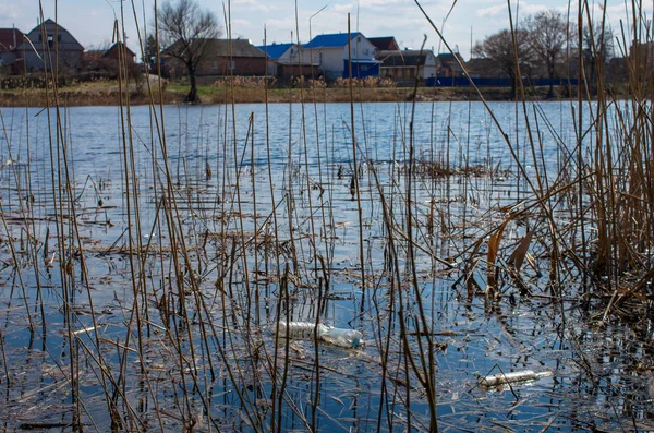 Weggeworfene Flaschen Flusswasser Stockbild