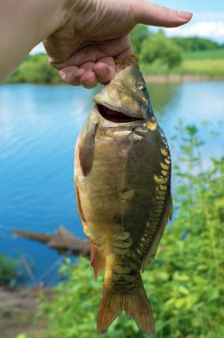 göle karşı elinde ayna sazan yakalandı