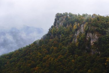 Dağ kapak orman ağaçları ilk kırmızı, portakal ve sarı sonbahar var. Cliff kayalar bölümlerini görebilirsiniz. Sis Vadisi en tepe arkasında kapsar.