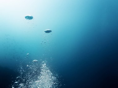 Su kabarcıkları, deniz anası gibi bazı bakmak artalanla. En derin bölge neredeyse siyah ve mavi ve turkuaz güneş ışığı yansıması görebileceğiniz yüzeye yakın değiştirir.