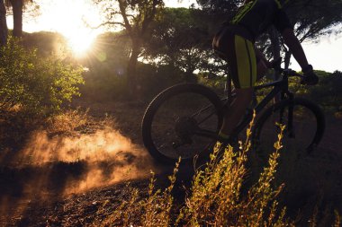 Arkadan aydınlatmalı bisikletçi tam hızda bir çam ormanının kum bir yolda günbatımında bir dağ bisikleti sürmek. Patinaj toz güneş ışınları görünür yapar. hareket bulanıklığı, karanlık ruh hali