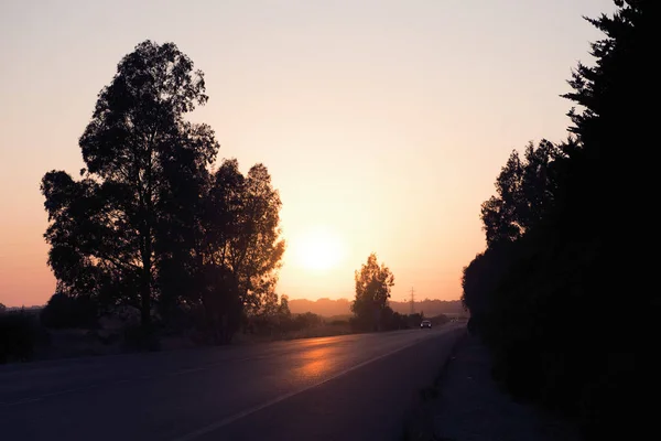 Lumière Coucher Soleil Reflète Dans Une Route Régionale Les Arbres — Photo